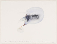KT 2001 024
<br/>
Zonder Titel
<br/>
<em>Solakov, Nedko (1957)</em>